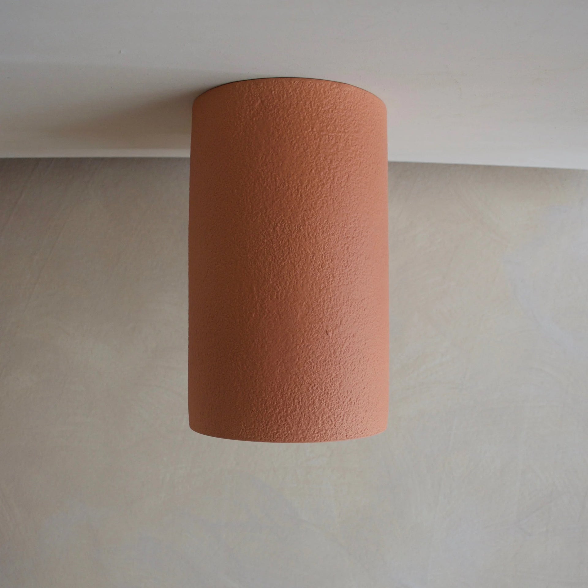 TERRA Ceiling Light