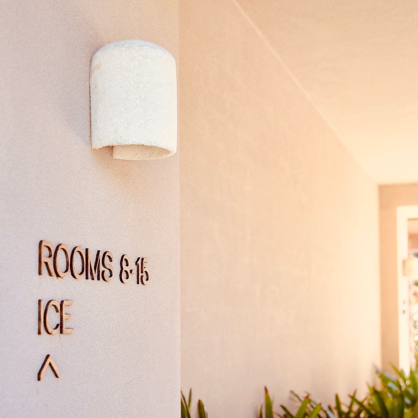 FOSSIL CORAL DOME FLUSH Wall Sconce