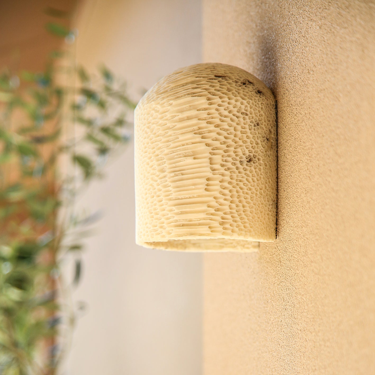 FOSSIL CORAL DOME FLUSH Wall Sconce