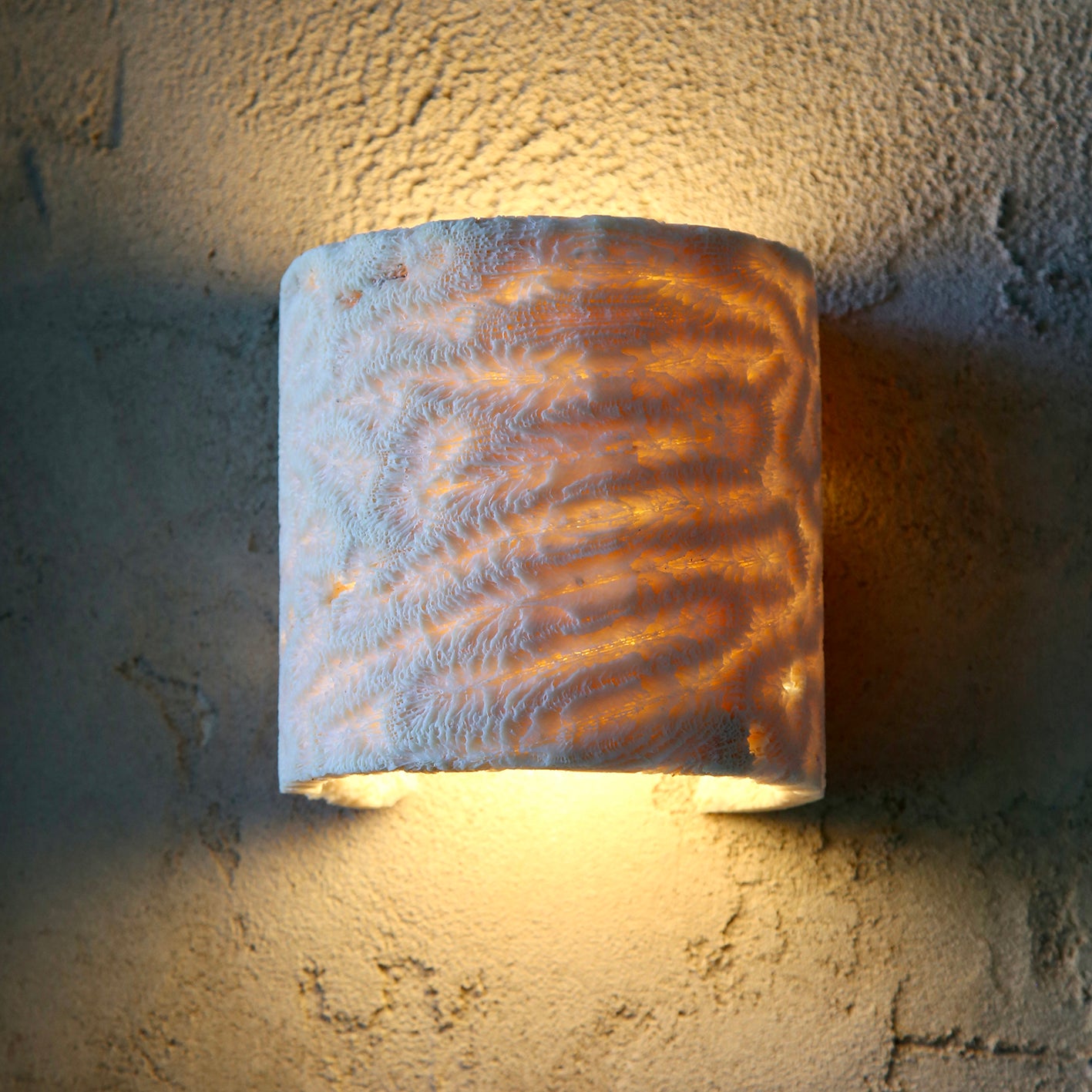 FOSSIL CORAL FLUSH TUBE Wall Light