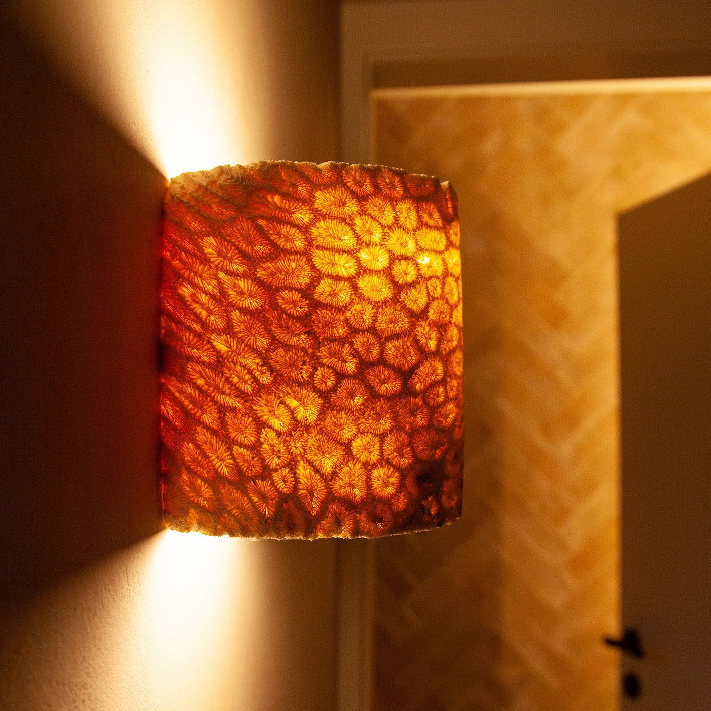 FOSSIL CORAL FLUSH TUBE Wall Light