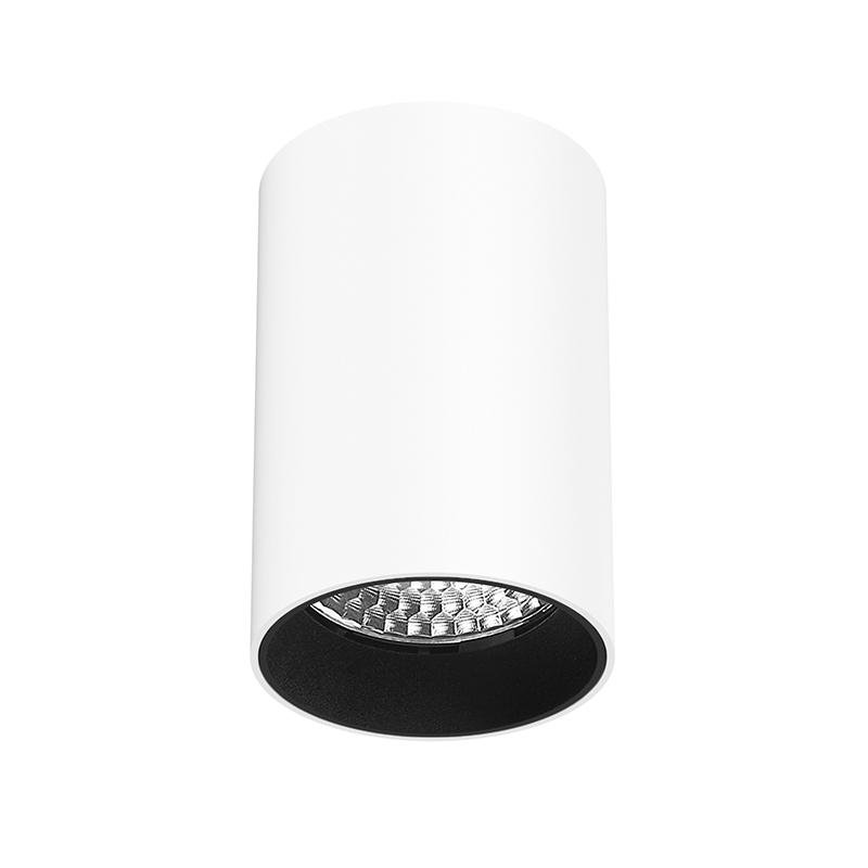 MAE 80 Surface Mount Downlight