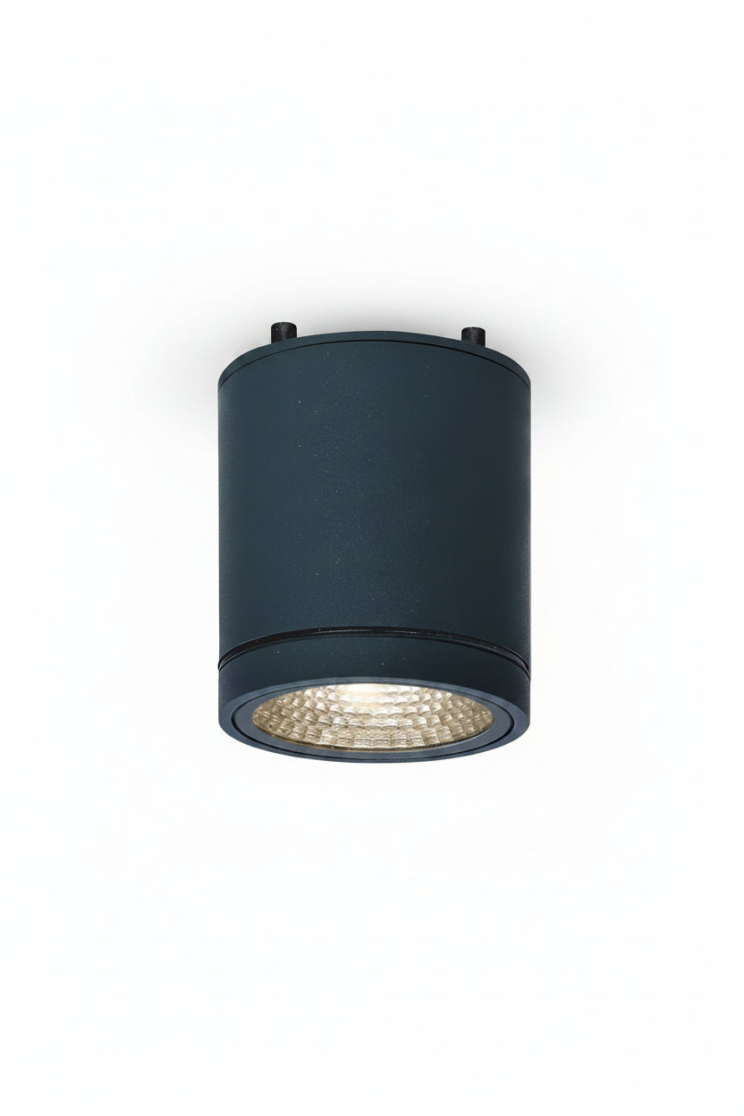 MOBY Outdoor Ceiling Light