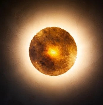 FOSSIL CORAL MOON Wall Light