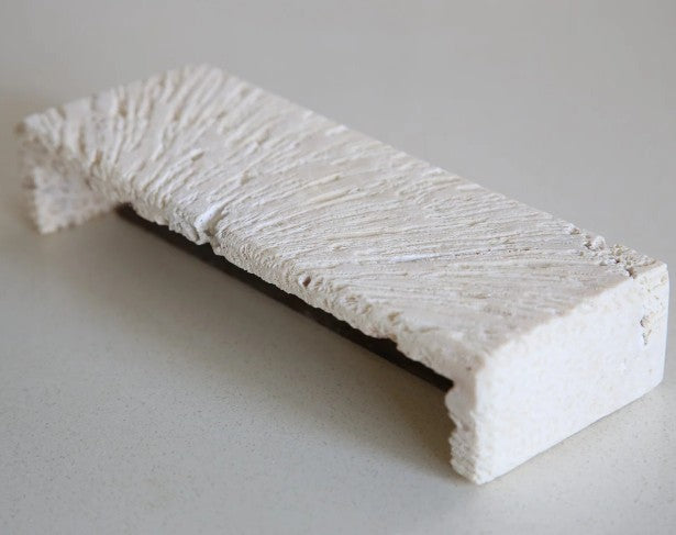 FOSSIL CORAL RECTANGLE Wall Light
