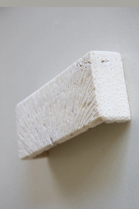 FOSSIL CORAL RECTANGLE Wall Light