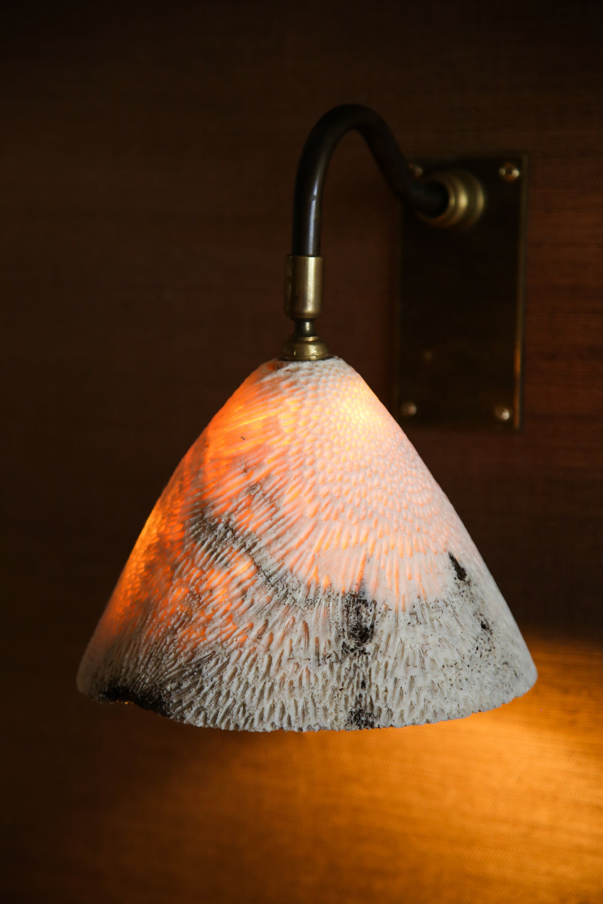 FOSSIL CORAL SWAN Wall Light