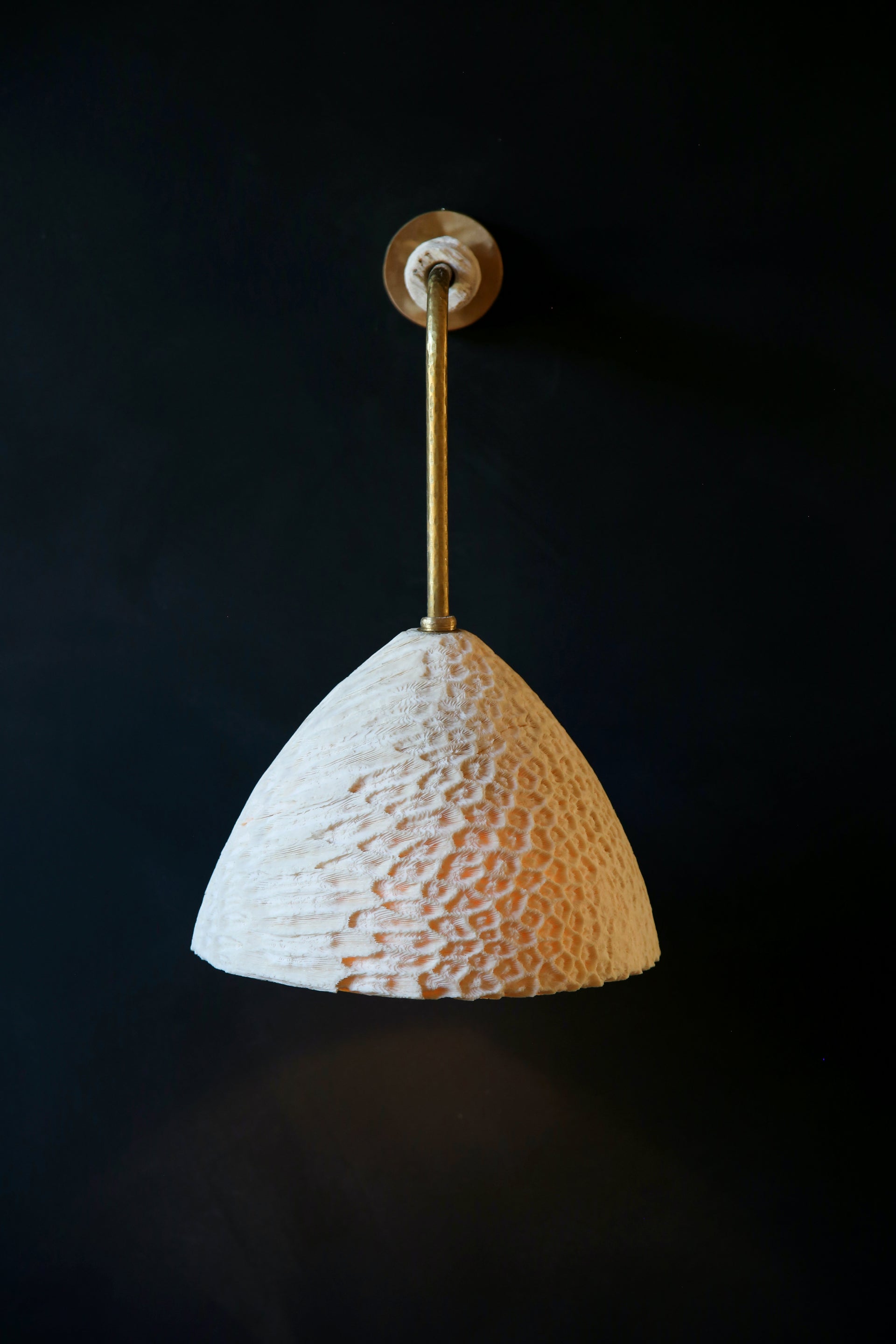 FOSSIL CORAL ARC CONE Wall Light