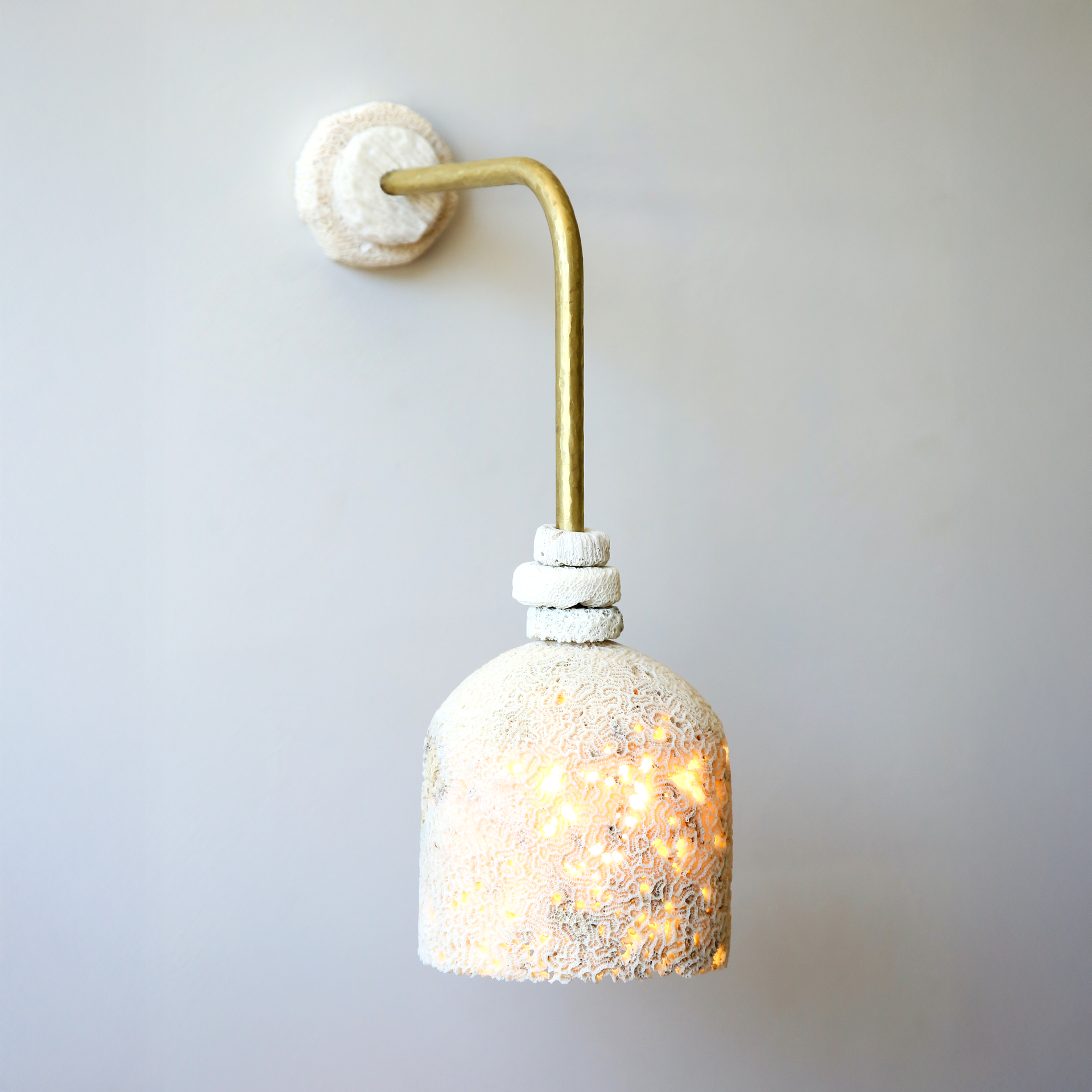 FOSSIL CORAL ARC DOME Wall Light