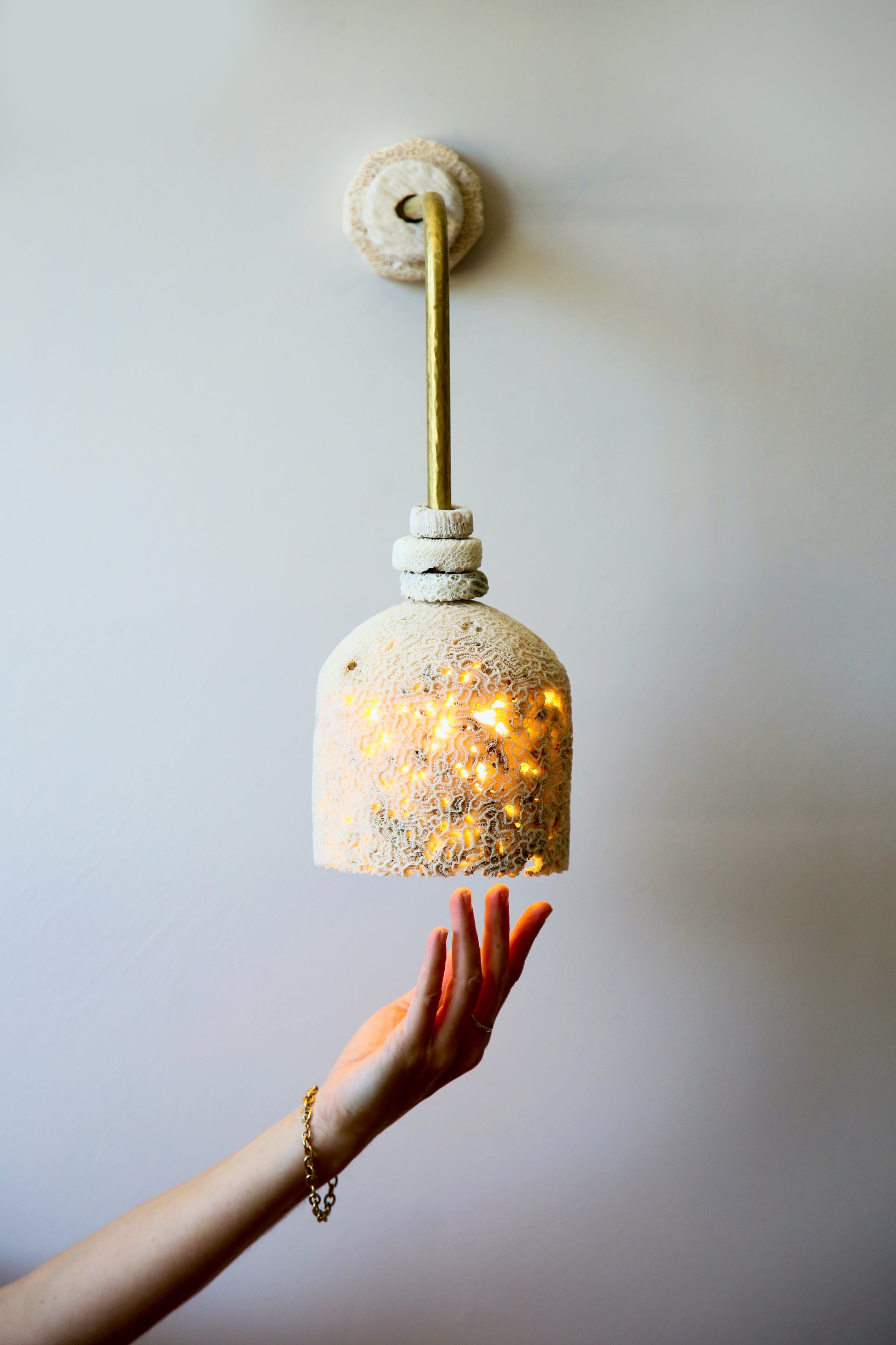 FOSSIL CORAL ARC DOME Wall Light