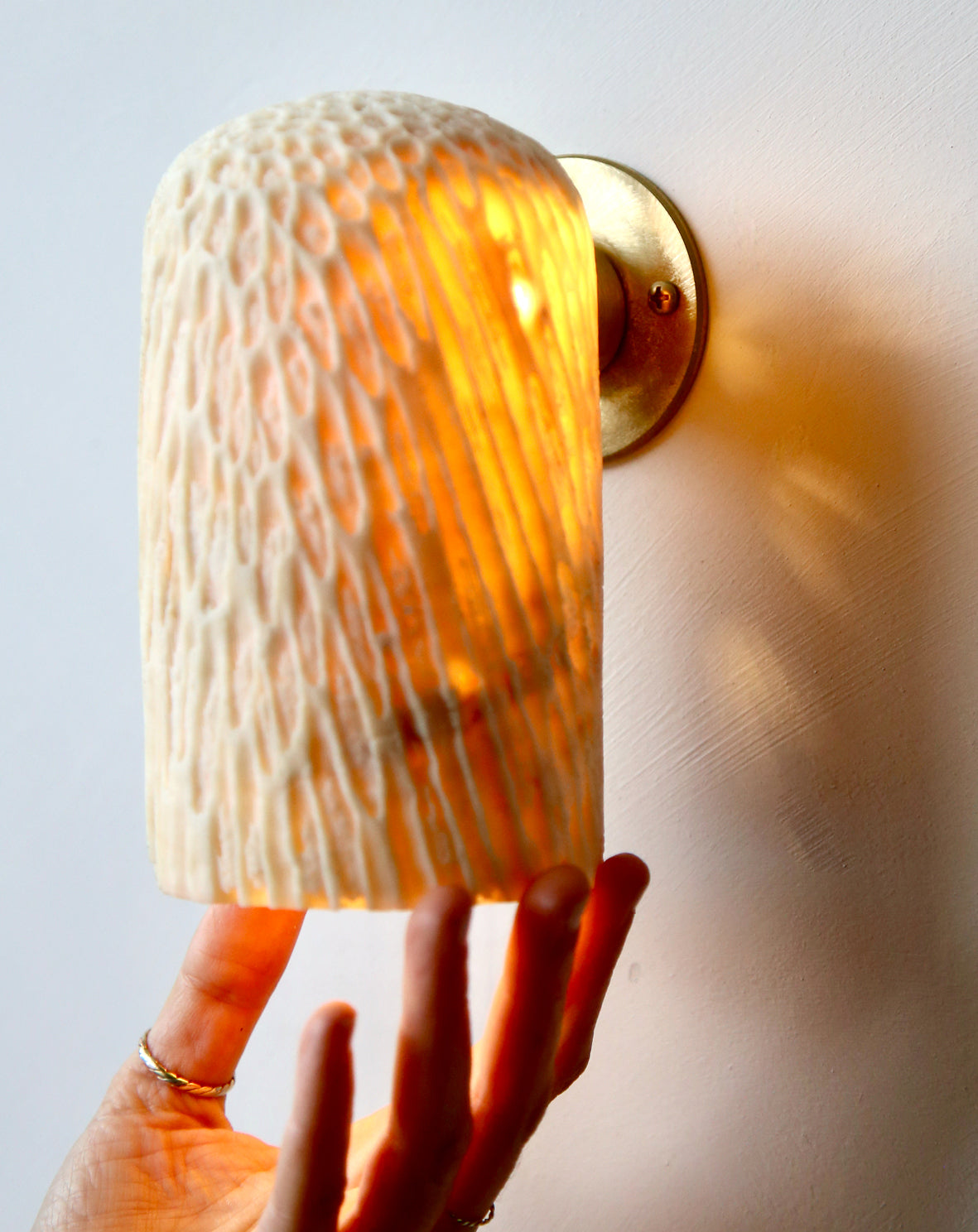 FOSSIL CORAL DOME Wall Light