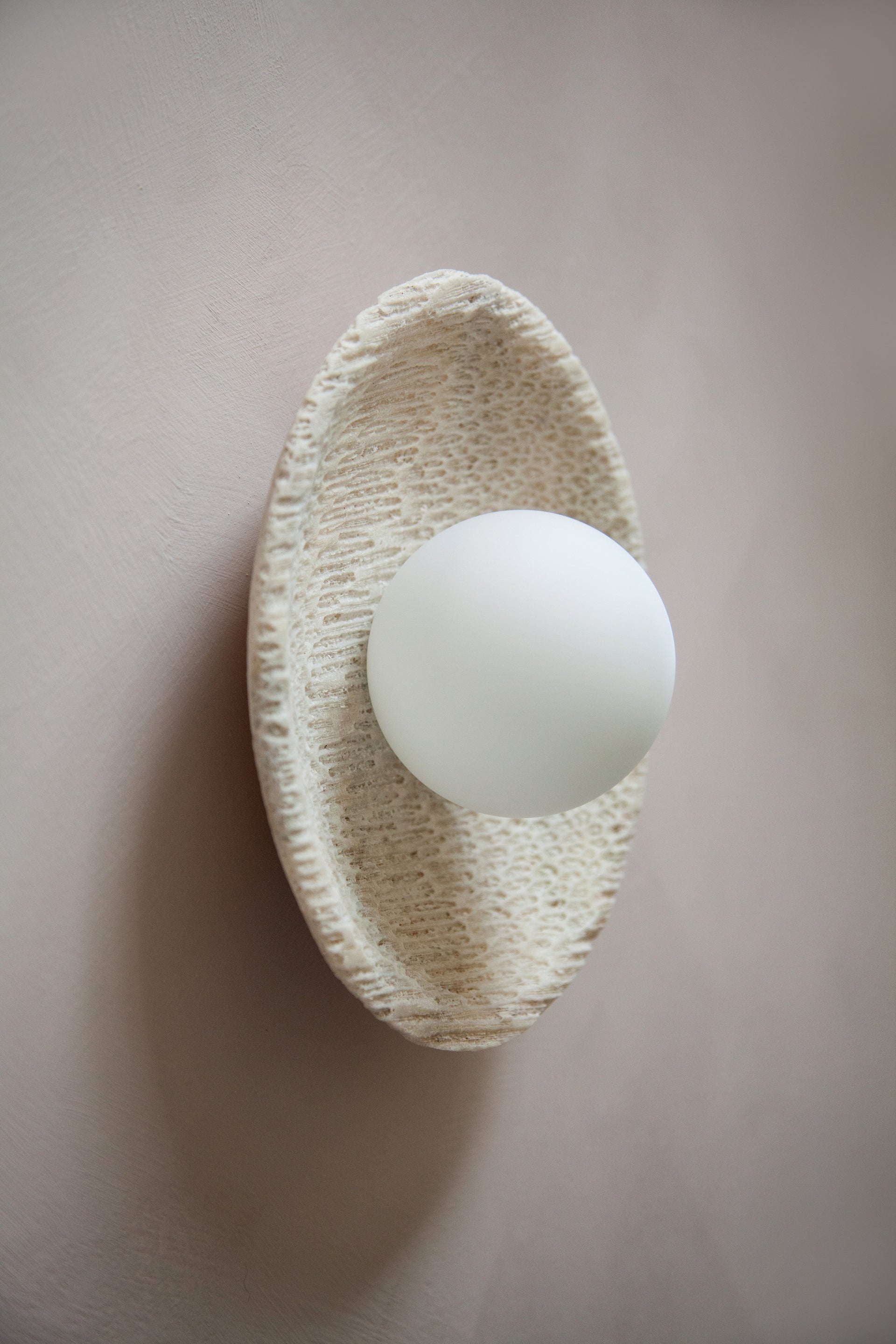 FOSSIL CORAL ORB Wall Light