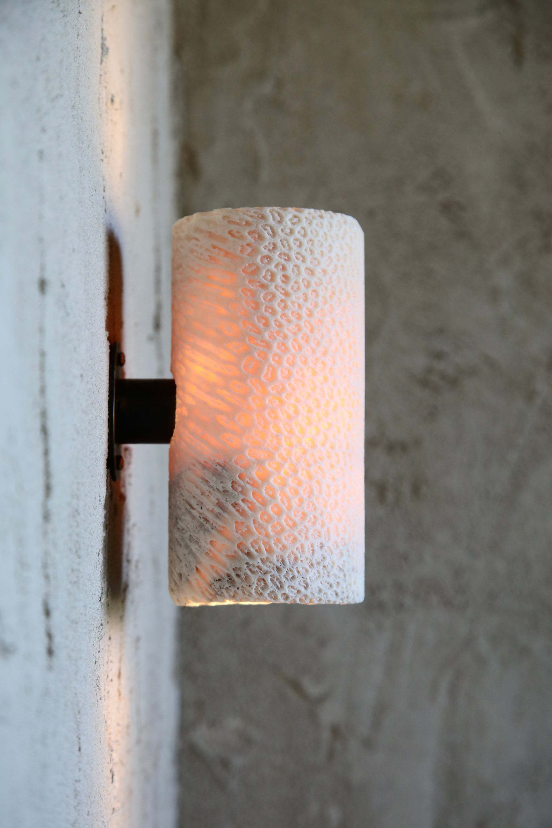 FOSSIL CORAL TUBE Wall Light