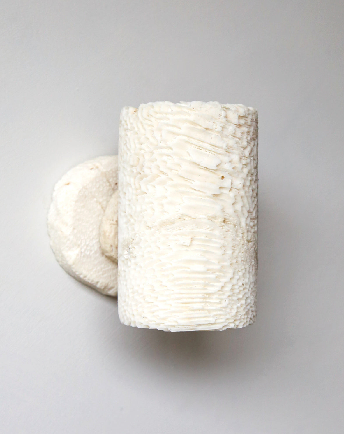 FOSSIL CORAL TUBE Wall Light