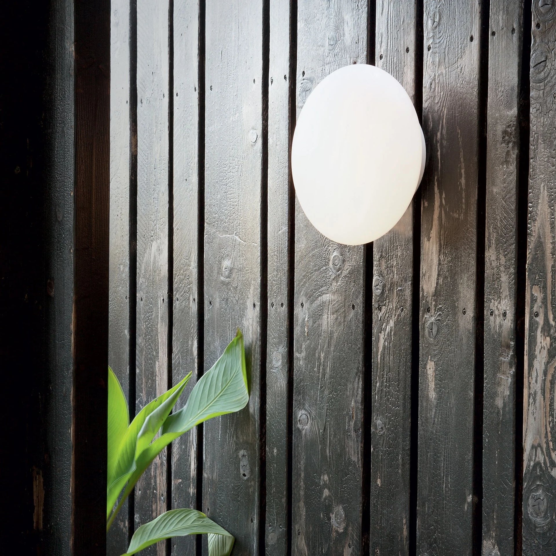 BUBBLE AP2 Wall Light
